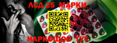 гидропоника Краснознаменск