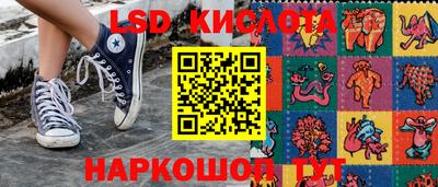 гидропоника Краснознаменск