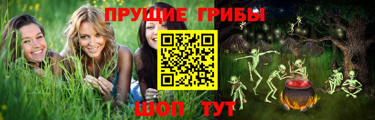 Псилоцибиновые грибы прущие грибы  Вход с VPN  где купить наркотик  Чапаевск 